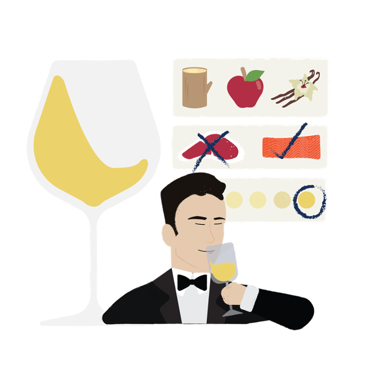 definitive wine training guide landing page illustration-02-1